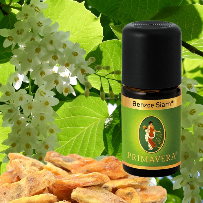 Primavera Bio Duftöl Benzoe Siam Bio