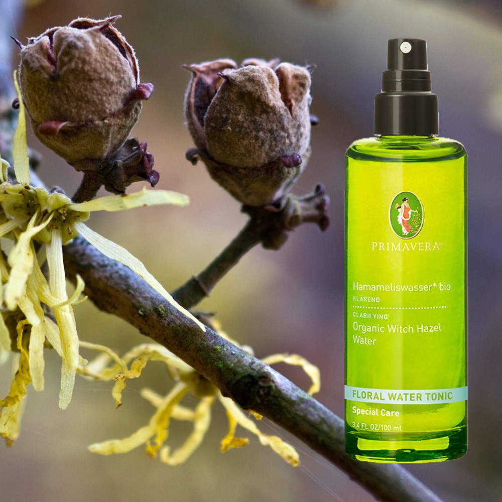 Primavera Pflanzenwässer 100ml