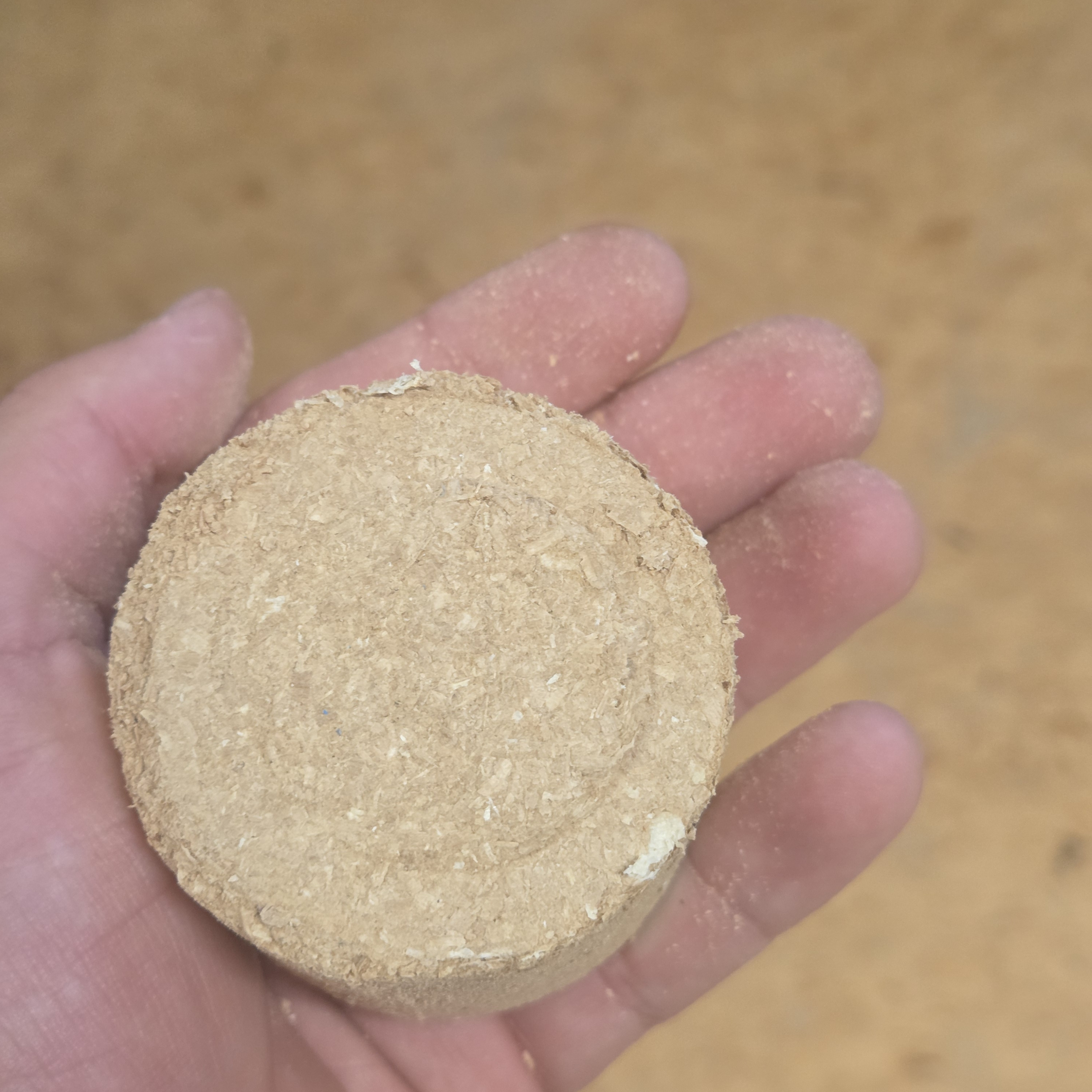 Runde Holzbrikett-Scheibe aus gepresstem Sägemehl in heller, beige-brauner Farbe liegt auf einer offenen Handfläche