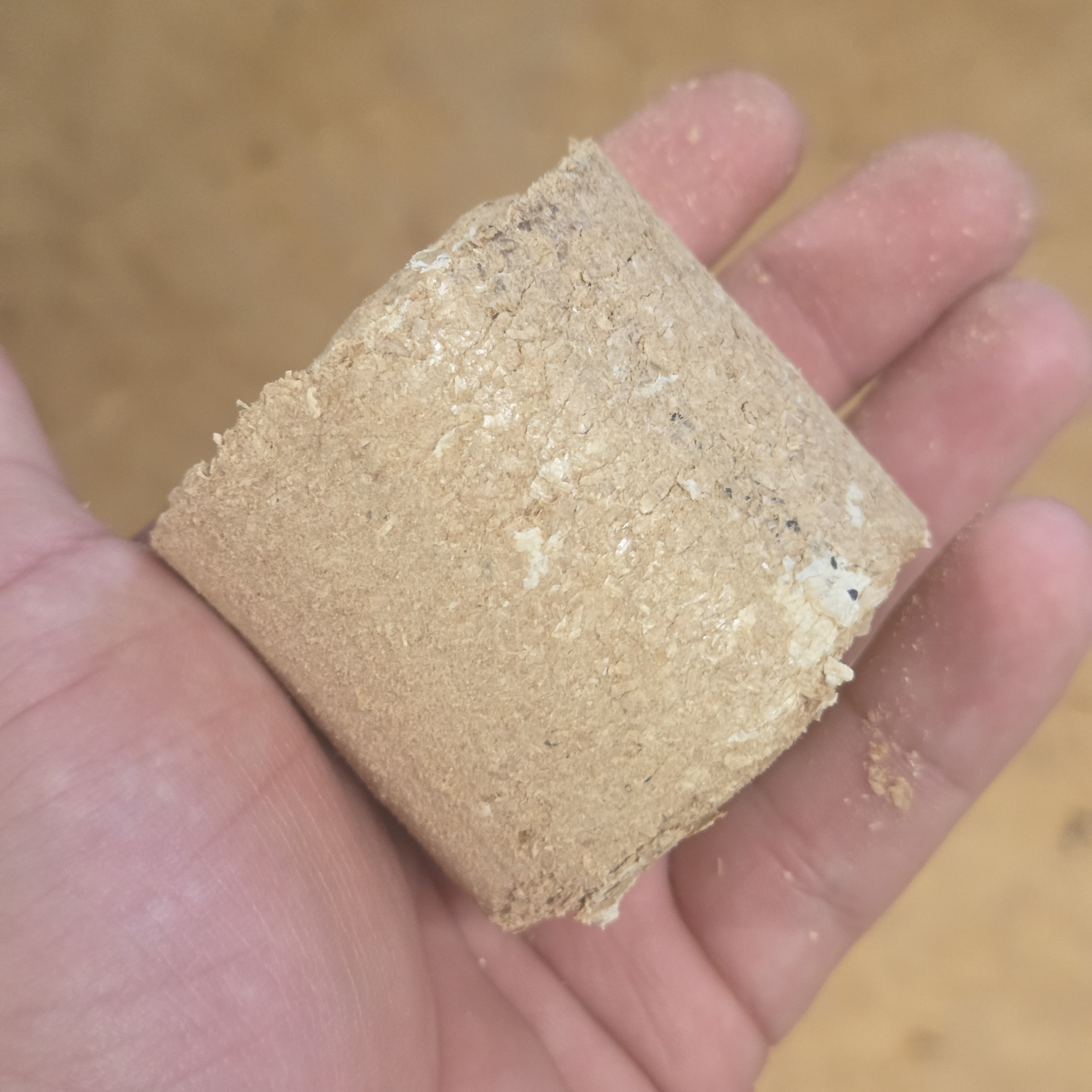 Hellbraunes, zylindrisches Holzbrikett aus gepresstem Sägemehl liegt auf einer geöffneten Handfläche, rauer und faseriger Oberfläche mit vereinzelten hellen Einschlüssen.