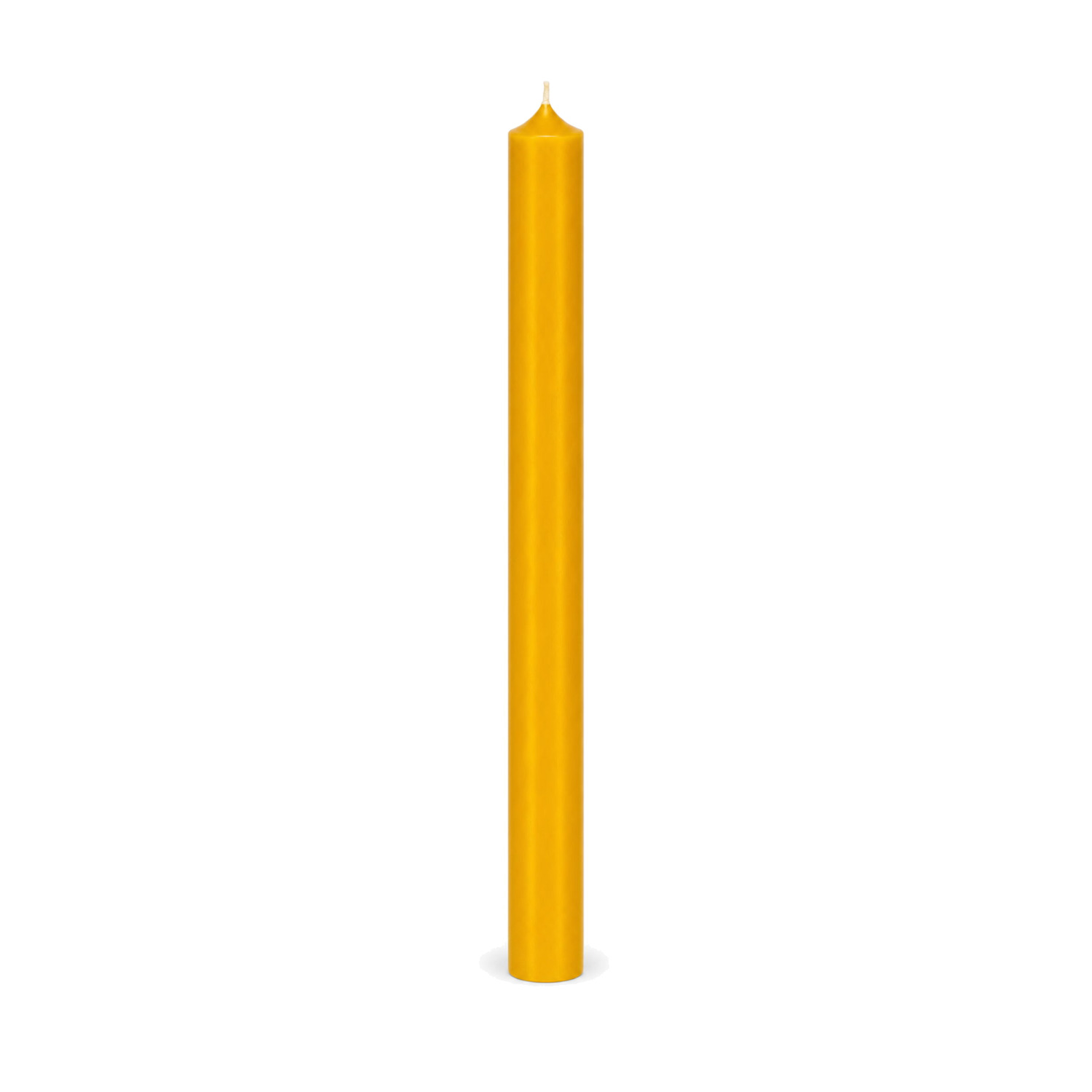 Curryfarbene Stabkerze 250 x 22 mm, einzeln auf weißem Hintergrund.