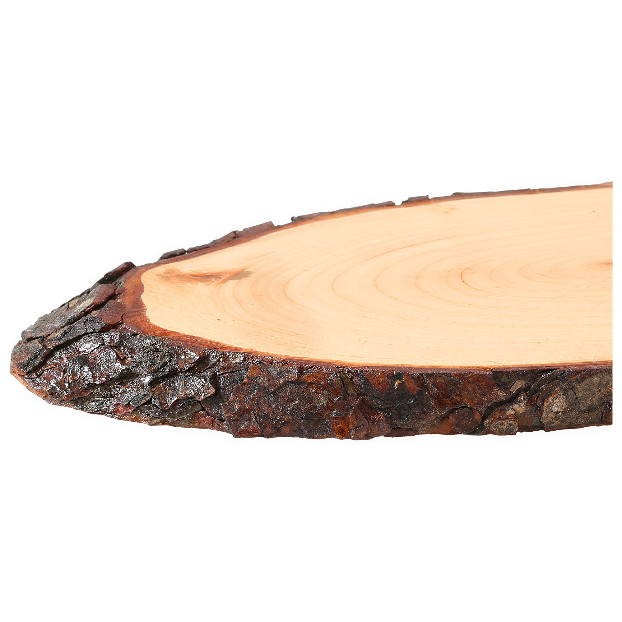 Ovales Rindenbrett aus hellem Holz mit sichtbaren Jahresringen und naturbelassener, dunkelbrauner Baumrinde am Rand, Schrägansicht auf weißem Hintergrund