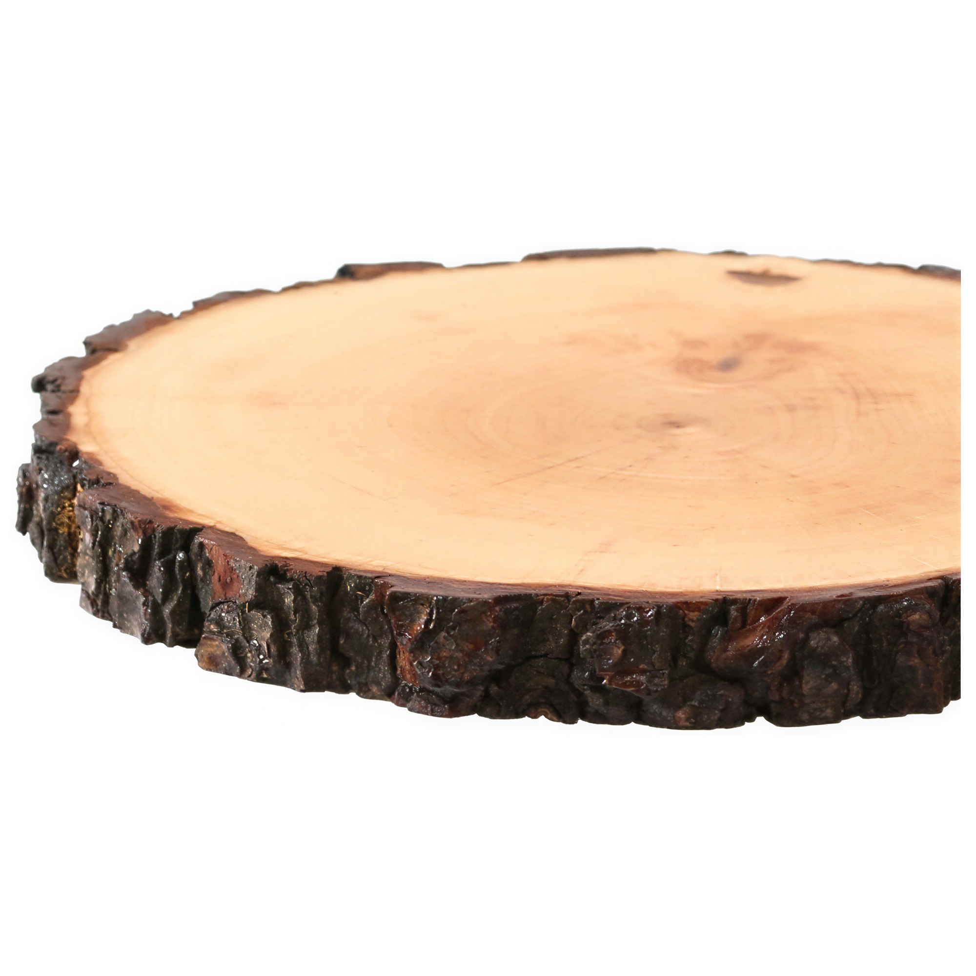 Runde Baumscheibe aus Esche oder Erle mit glatt geschliffener heller Holzoberfläche und naturbelassenem dunklem Rindenrand, Schrägansicht auf weißem Hintergrund