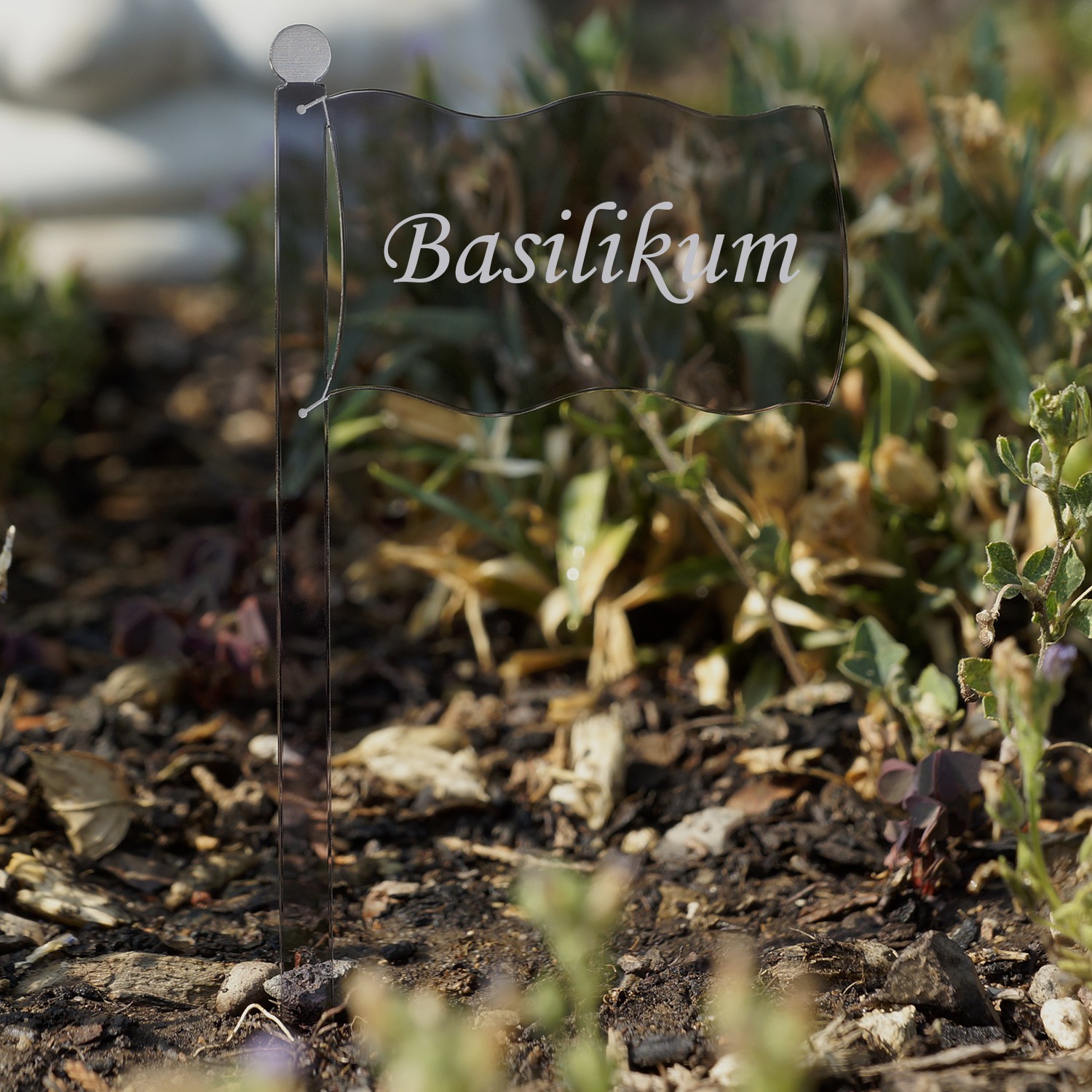 Segnapiante a bandierina in PLEXIGLAS® grigio trasparente